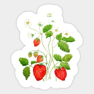 strawberry painting Sticker